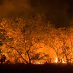 CPI da Alerj convoca líderes da Unimed para depor sobre abusos