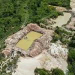 Botos são encontrados mortos no Lago Tefé por conta da seca